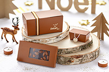 nouveau catalogue Elvicart automne-hiver 2018-2019