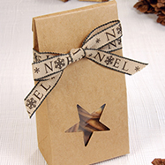 Pochette étoile kraft